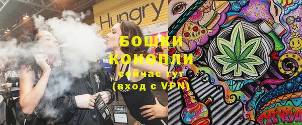 бошки Горняк