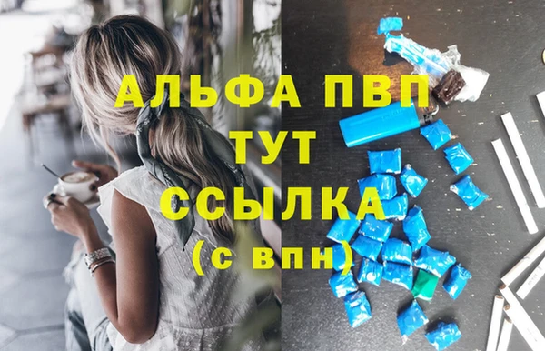 mdpv Вяземский