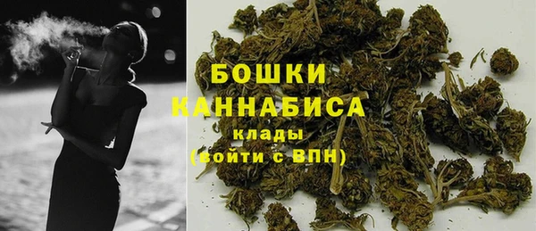 бошки Горняк