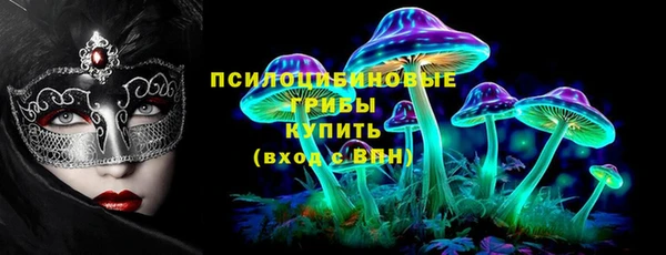 mdpv Вяземский