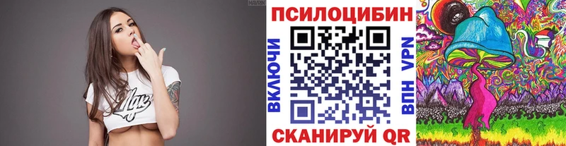 Галлюциногенные грибы Psilocybine cubensis  Елизово 